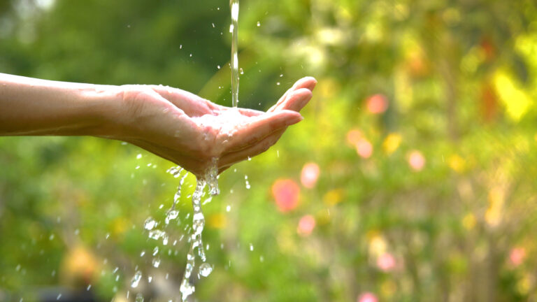 Build a Fountain of Trust